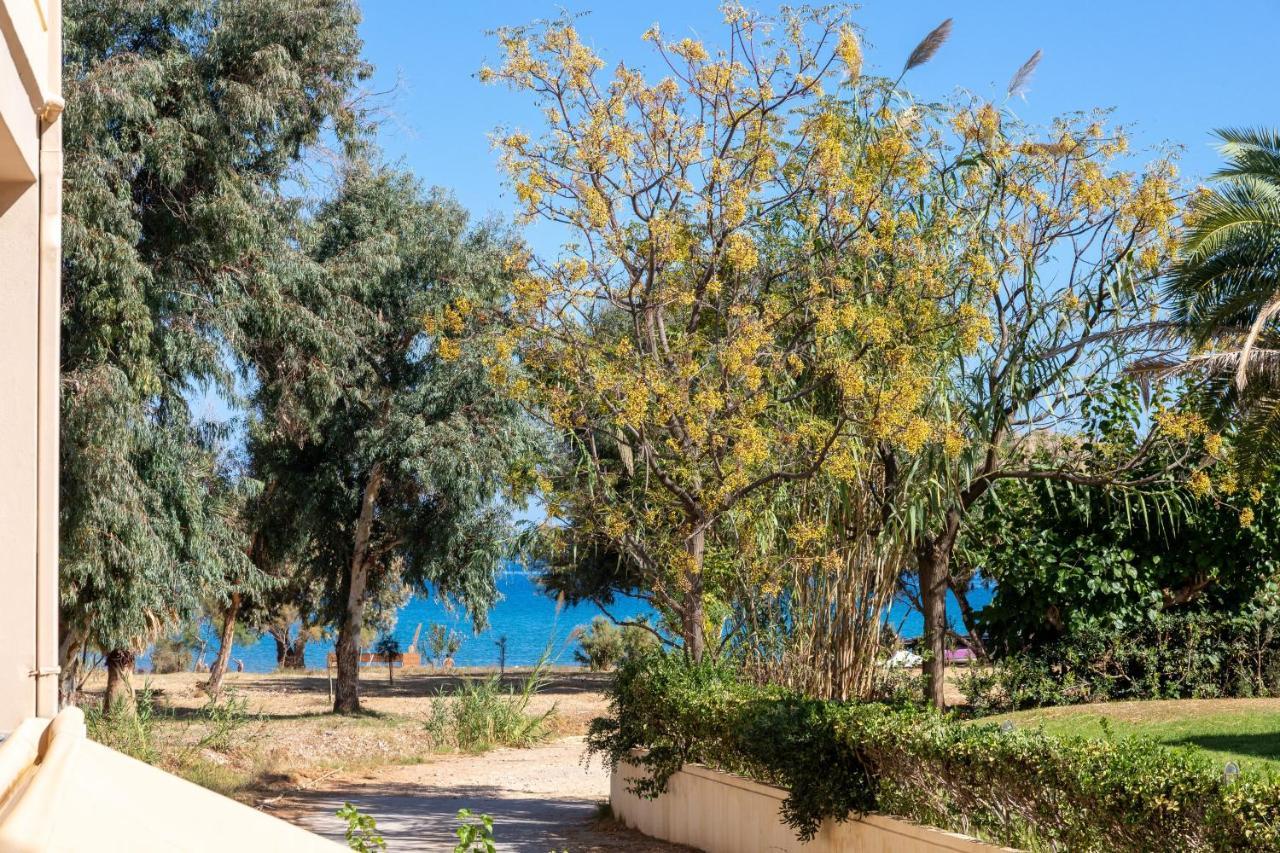 Sun Beach Apartments Kato Daratso Extérieur photo